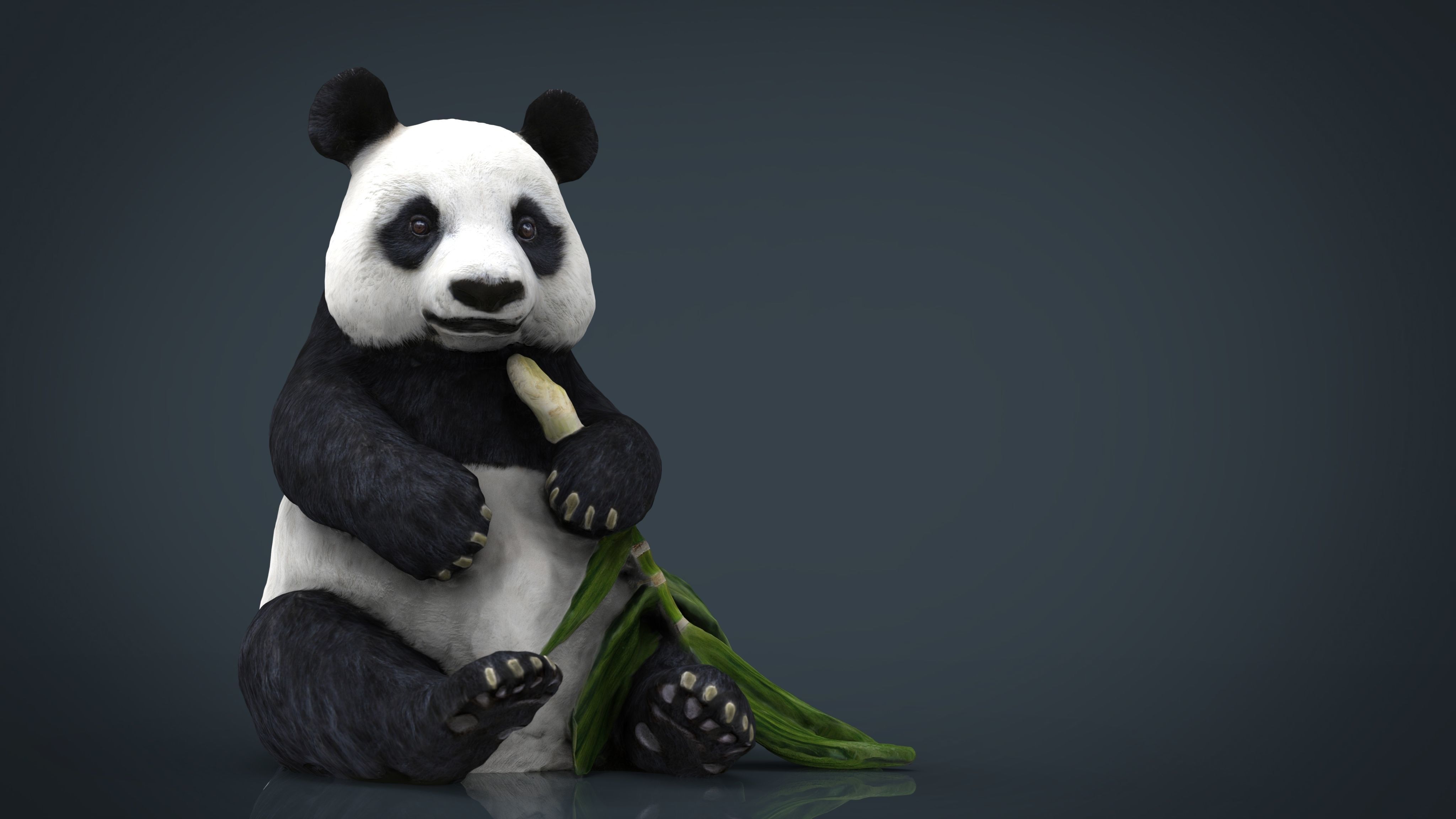 PANDA bear holding leaf Low-poly 3D model_6