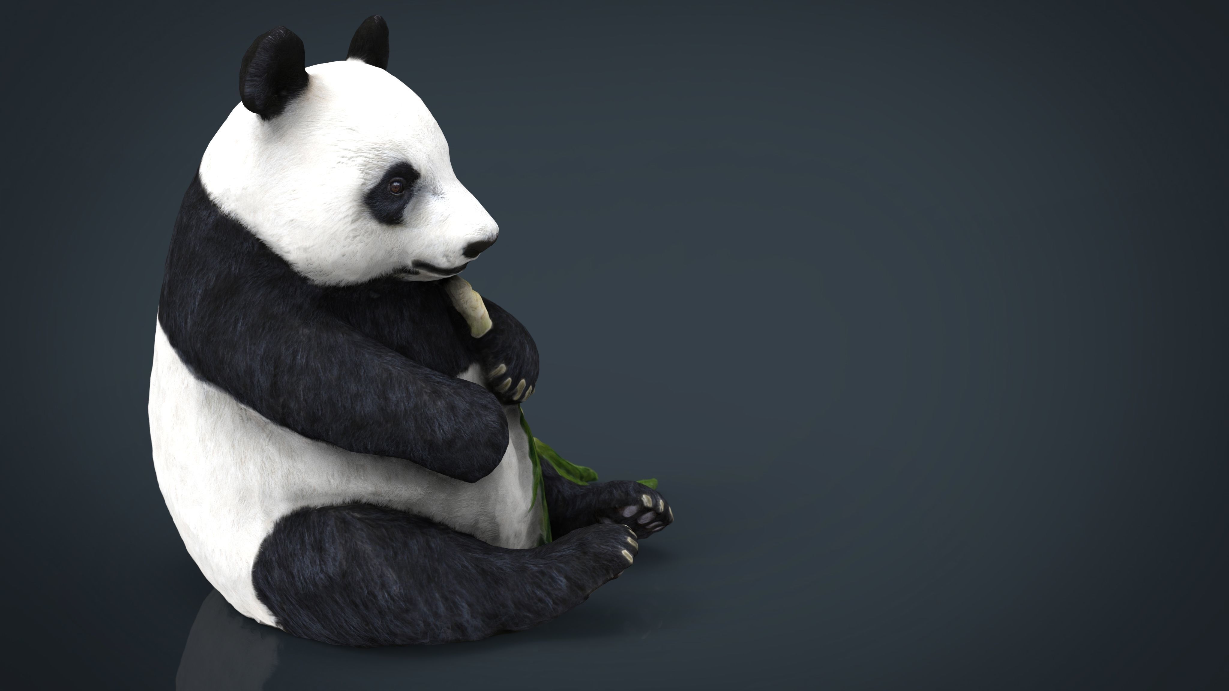 PANDA bear holding leaf Low-poly 3D model_7