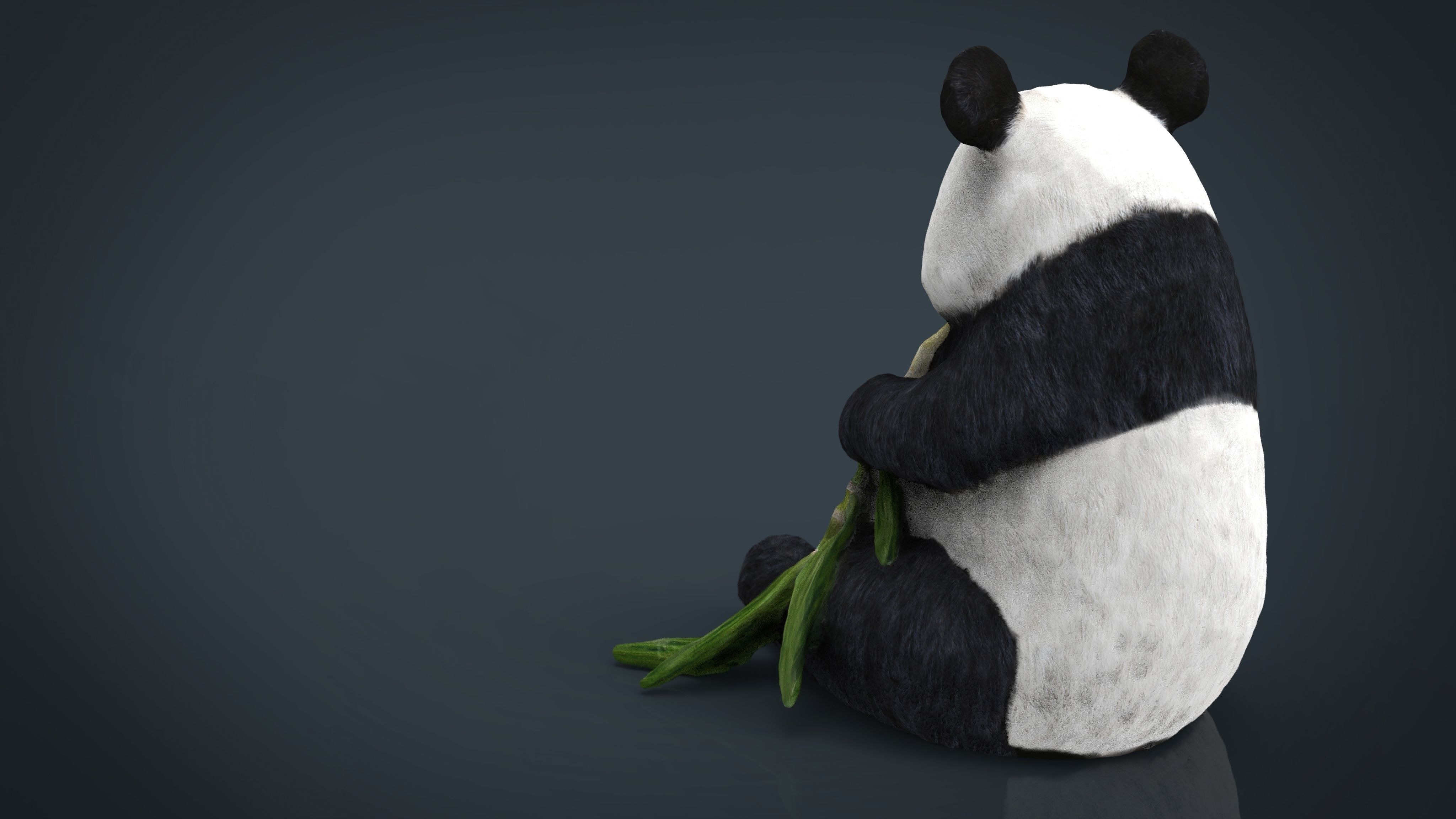 PANDA bear holding leaf Low-poly 3D model_8