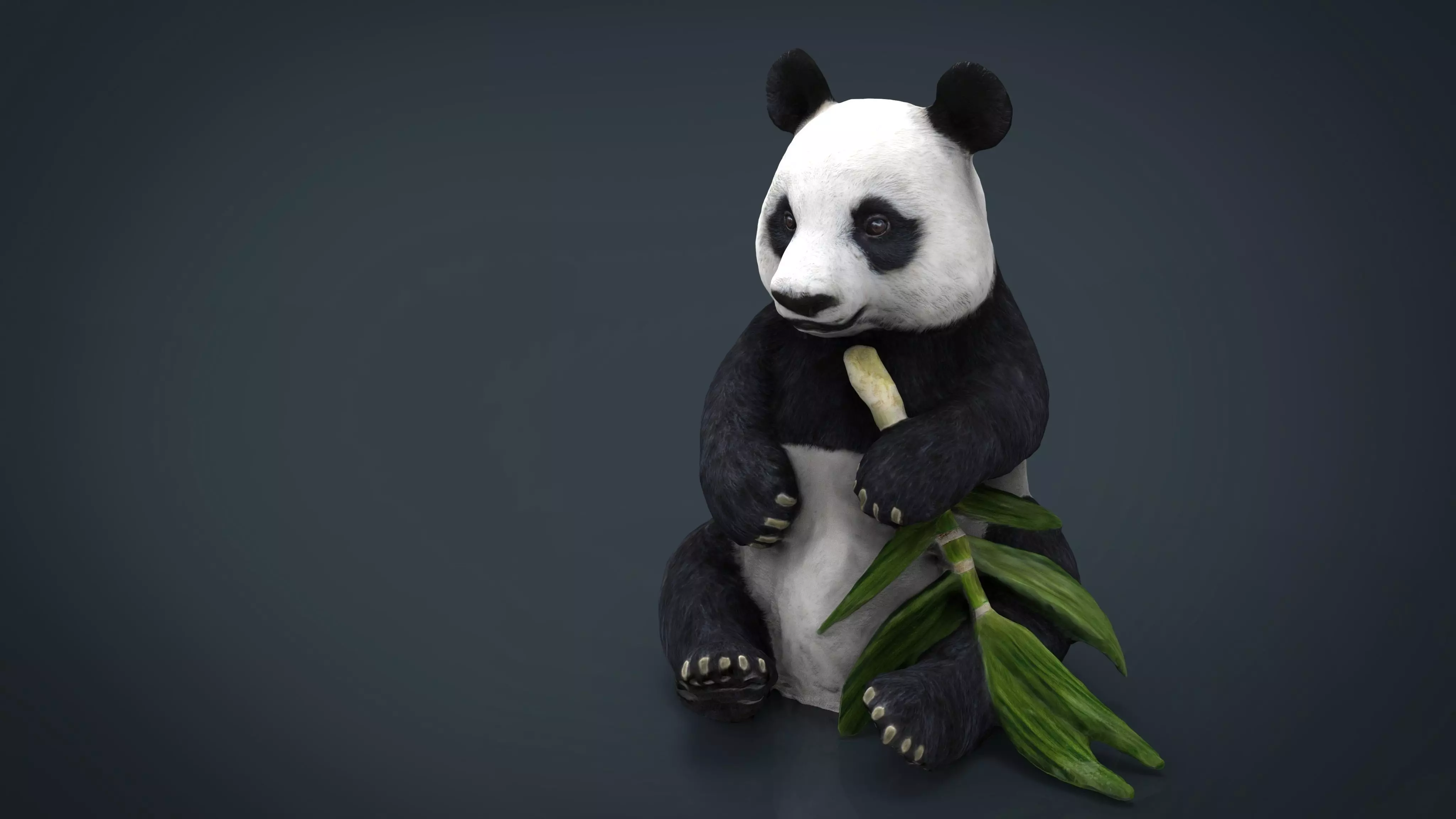 PANDA bear holding leaf Low-poly 3D model_0