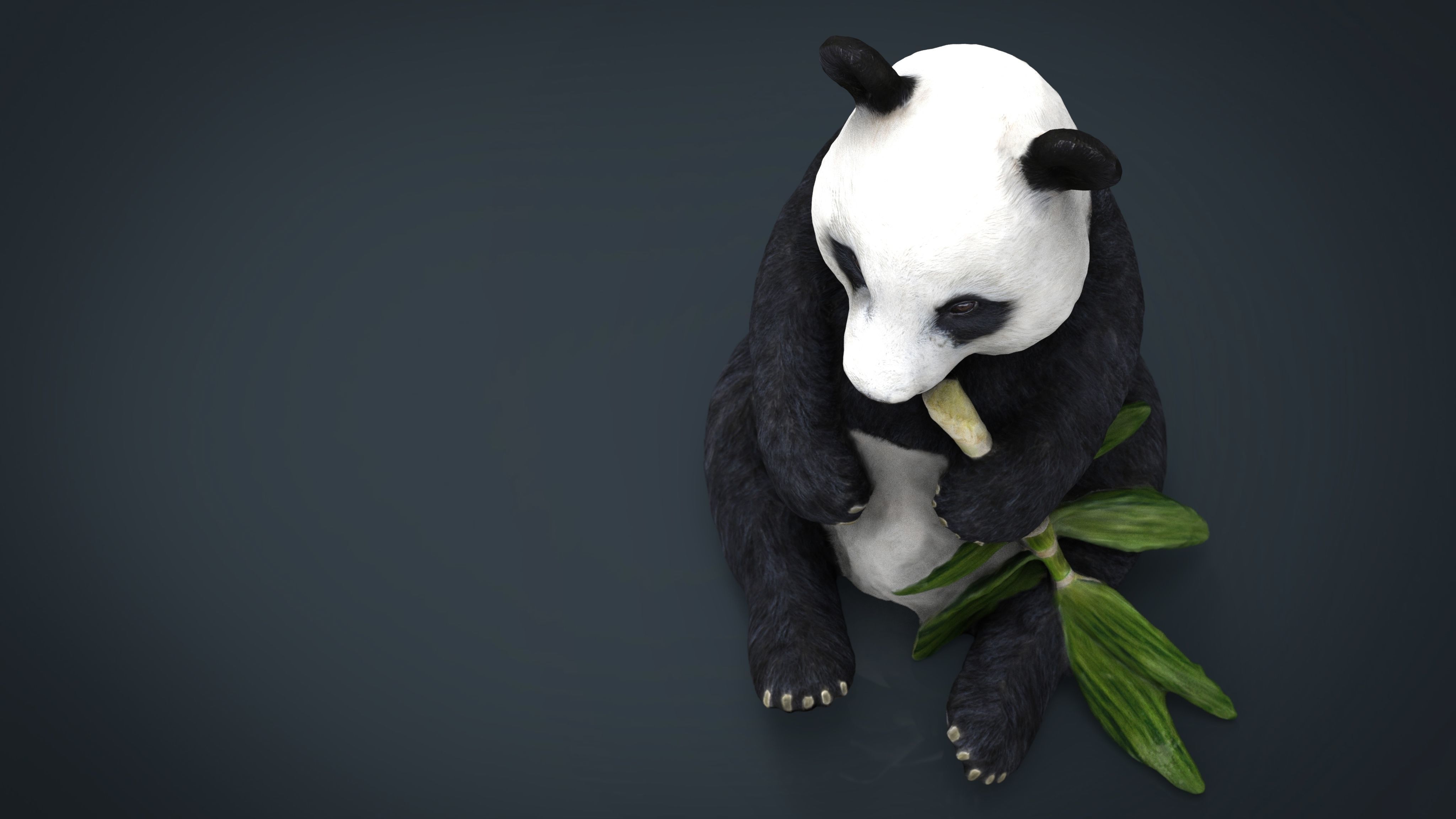 PANDA bear holding leaf Low-poly 3D model_11