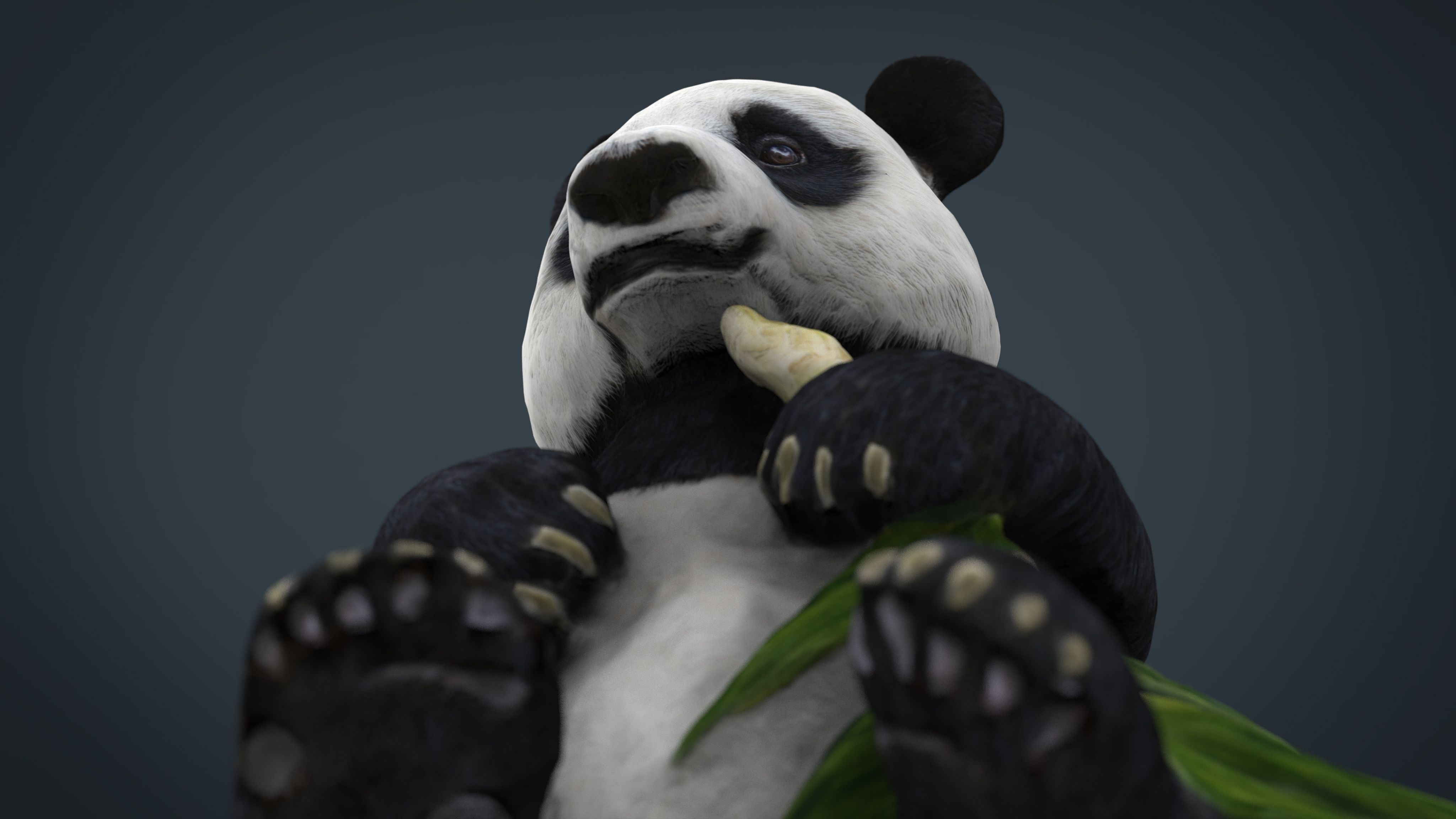 PANDA bear holding leaf Low-poly 3D model_9