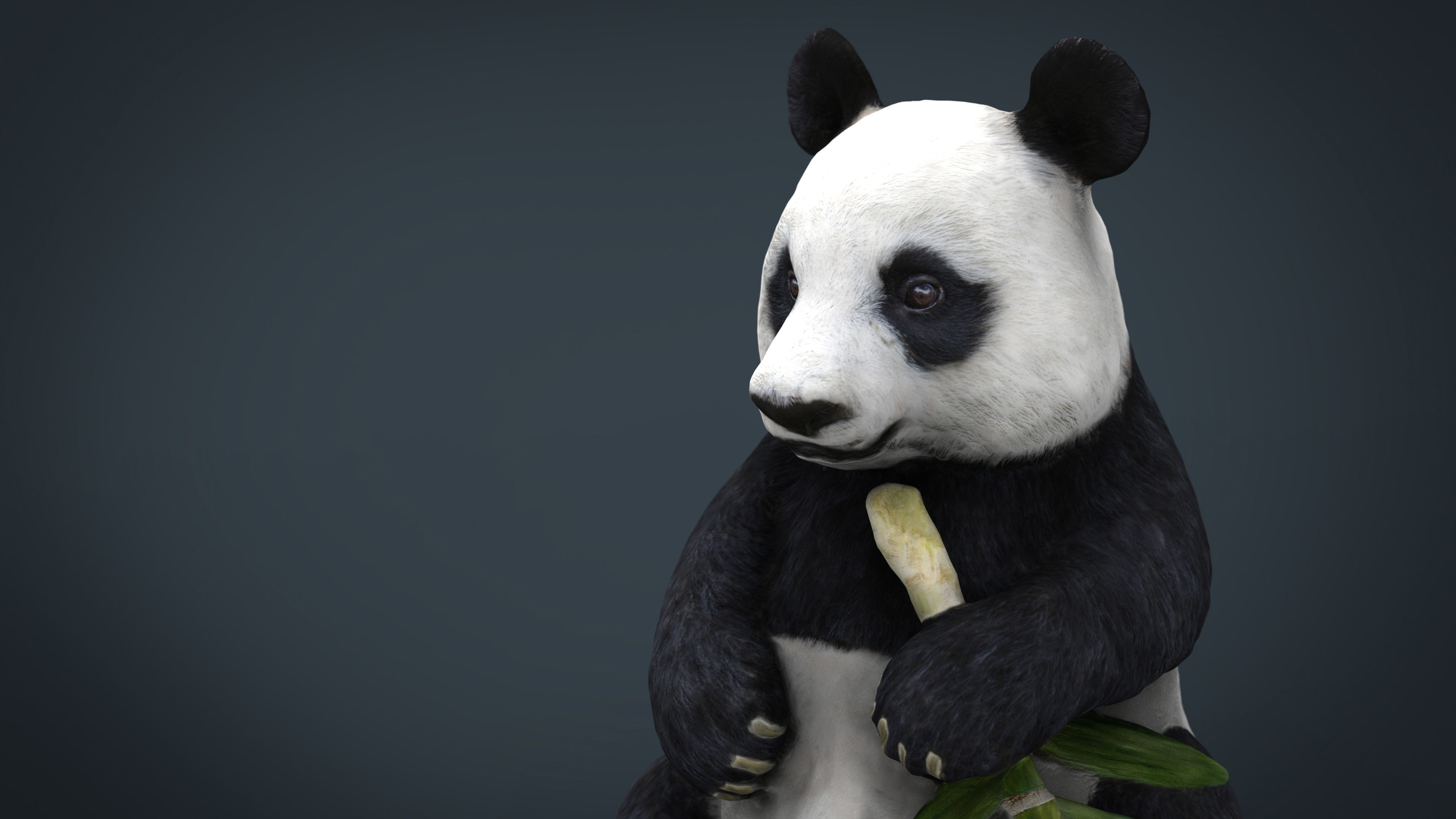 PANDA bear holding leaf Low-poly 3D model_2