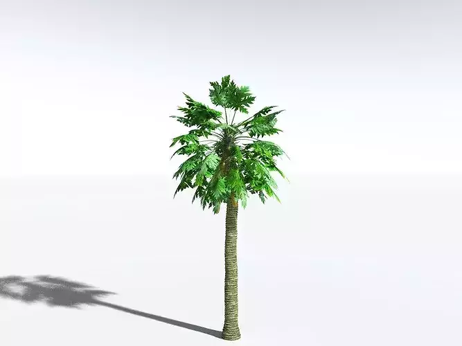 EVERYPlant Papaya