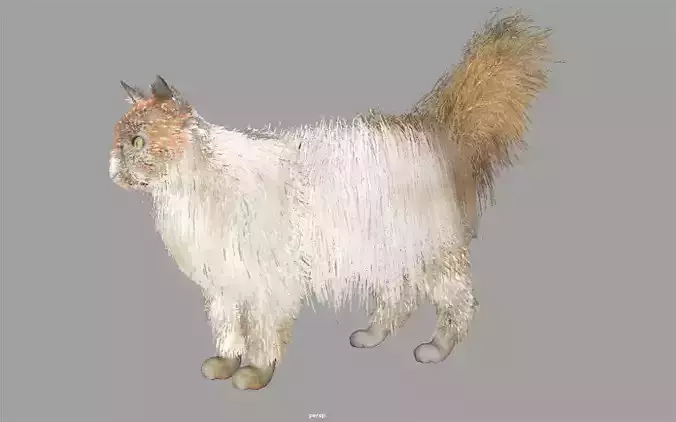 Persian Cat Internal Organs Skeleton Arteries 3D model