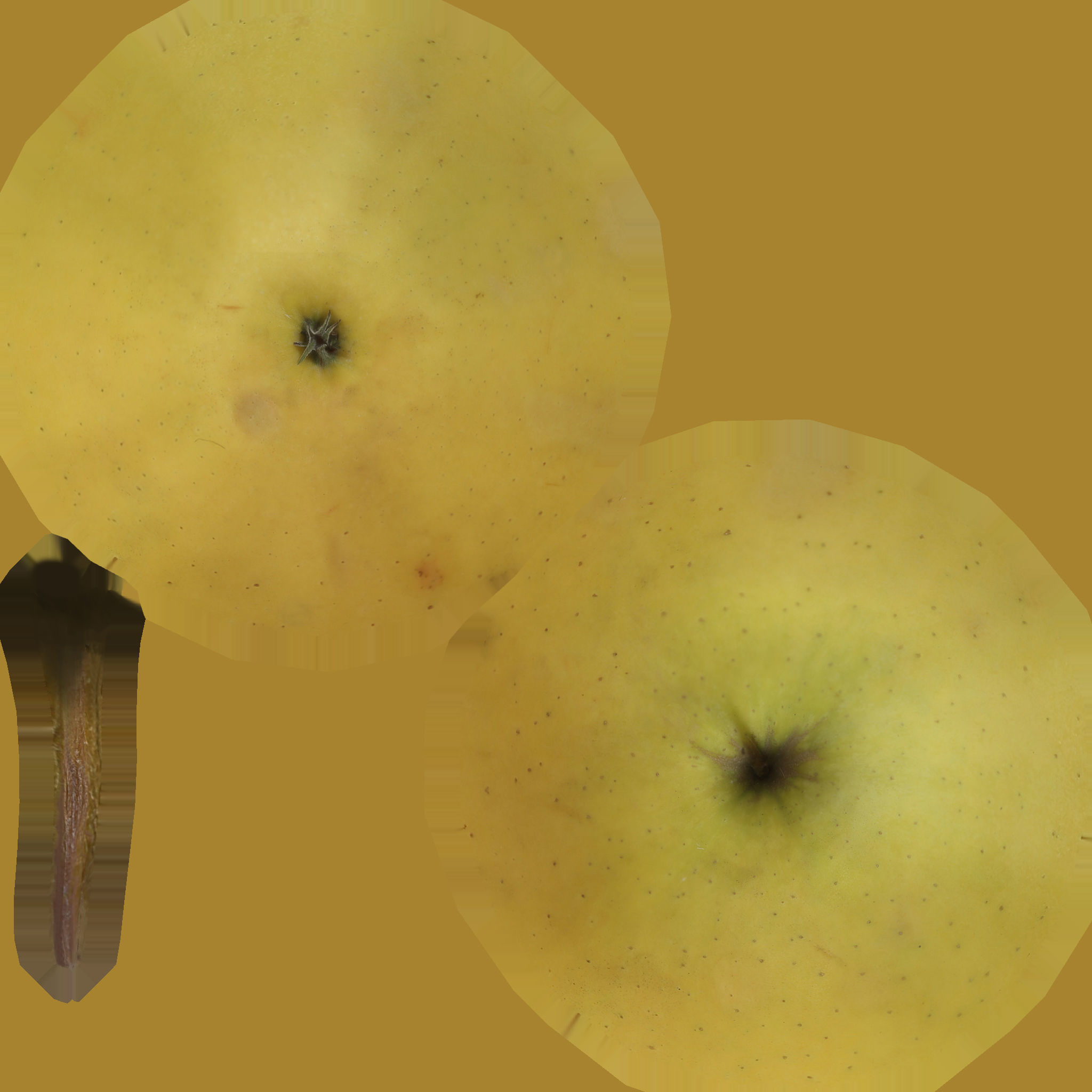 Yellow Apple Low-poly 3D model_5