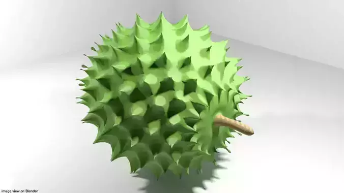 Tropical Fruit - Durian