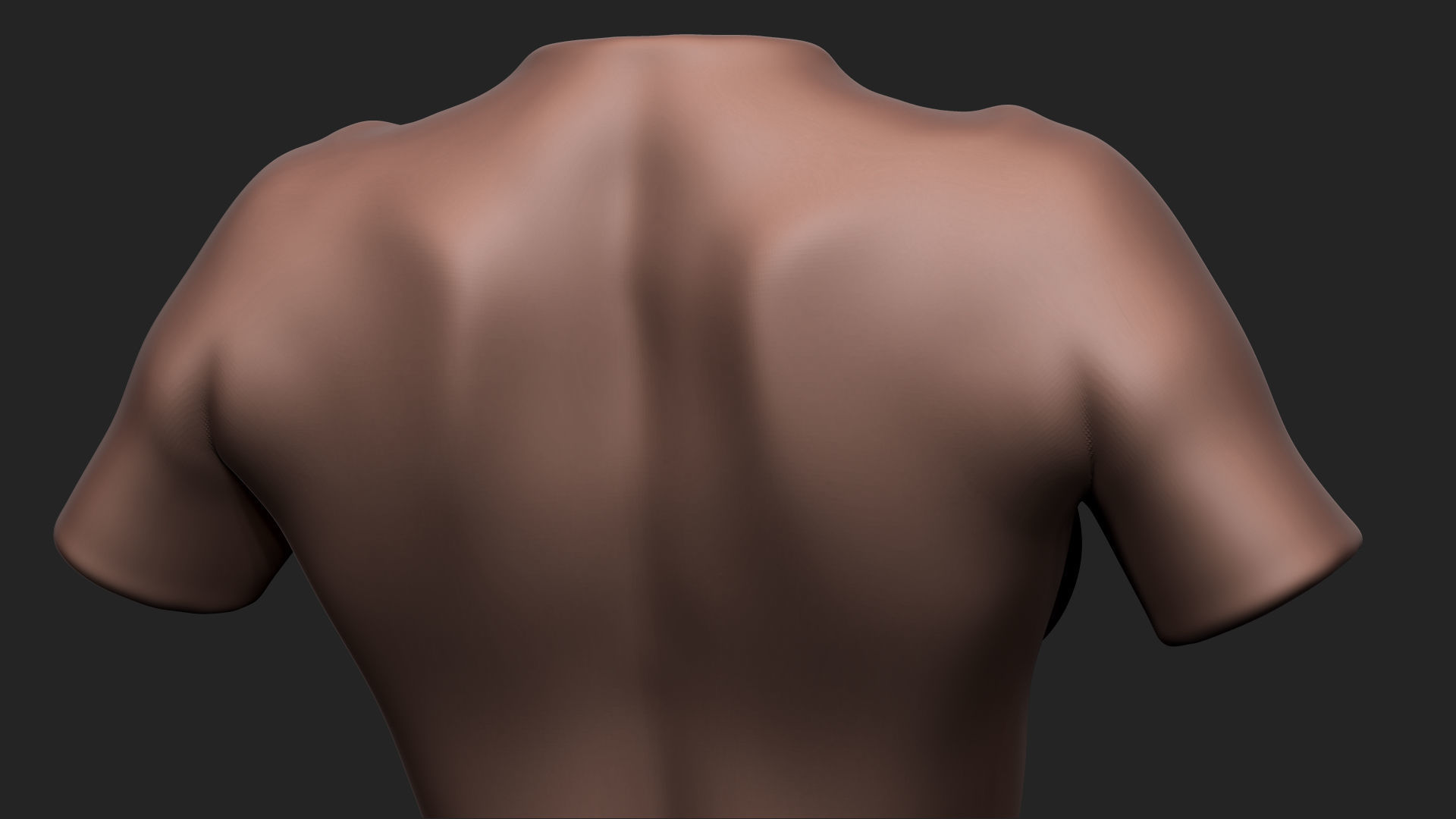 Female Torso Low-poly 3D model_17