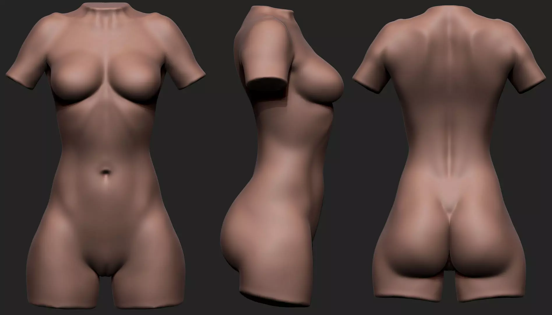 Female Torso Low-poly 3D model_0