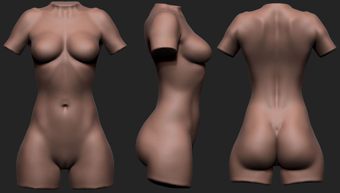 Female Torso Low-poly 3D model