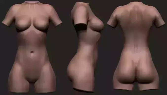 Female Torso Low-poly 3D model Female Torso Low-poly 3D model