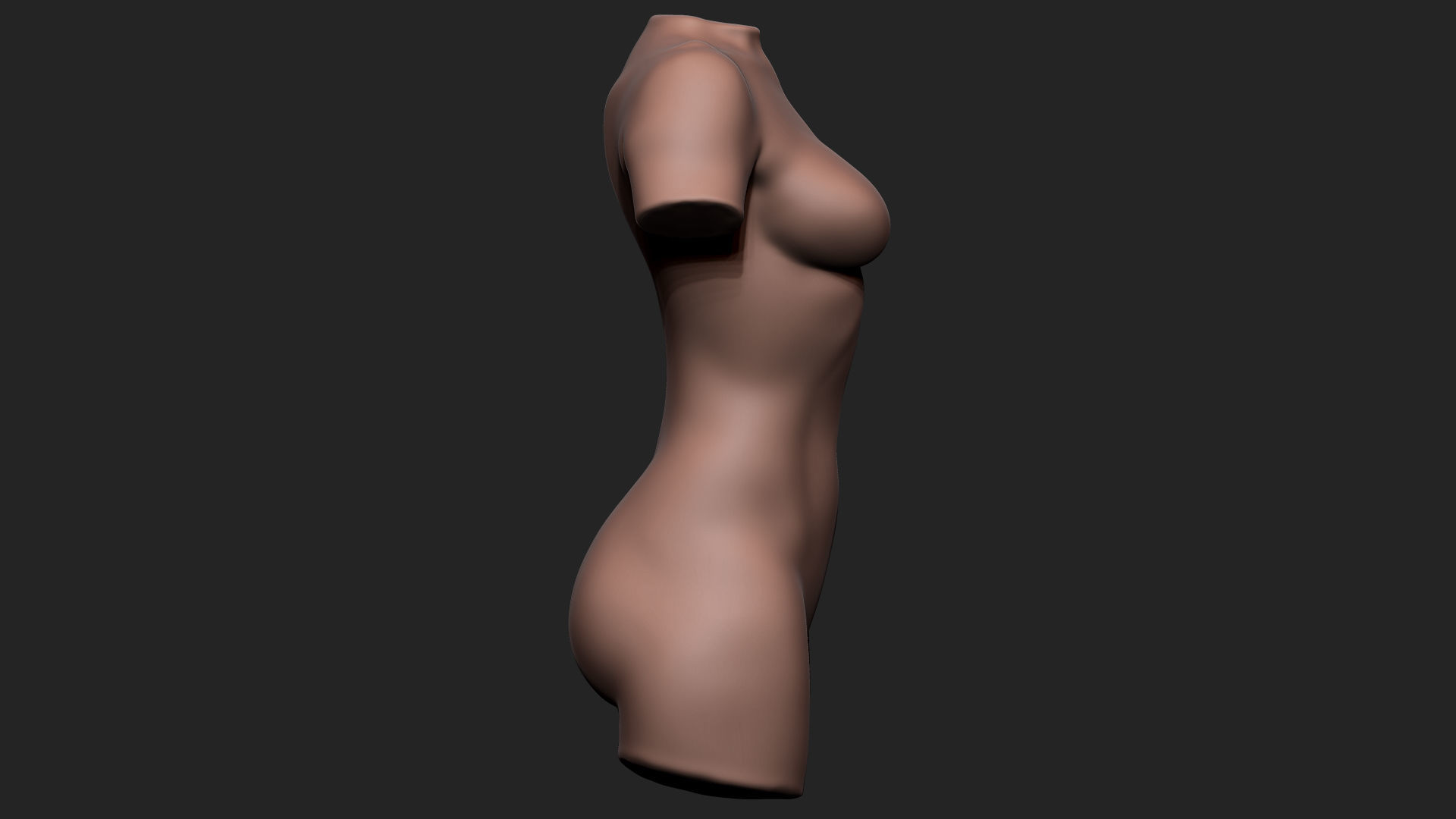 Female Torso Low-poly 3D model_10