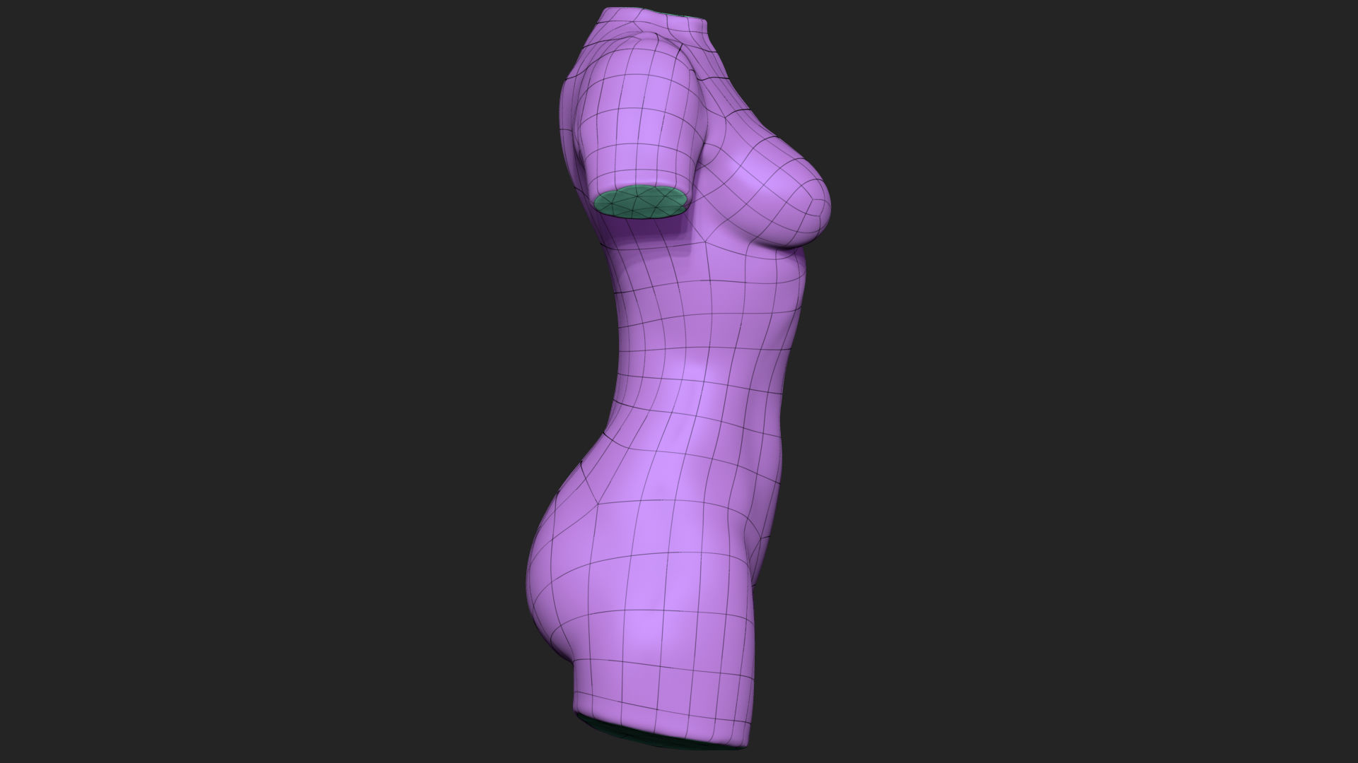 Female Torso Low-poly 3D model_11