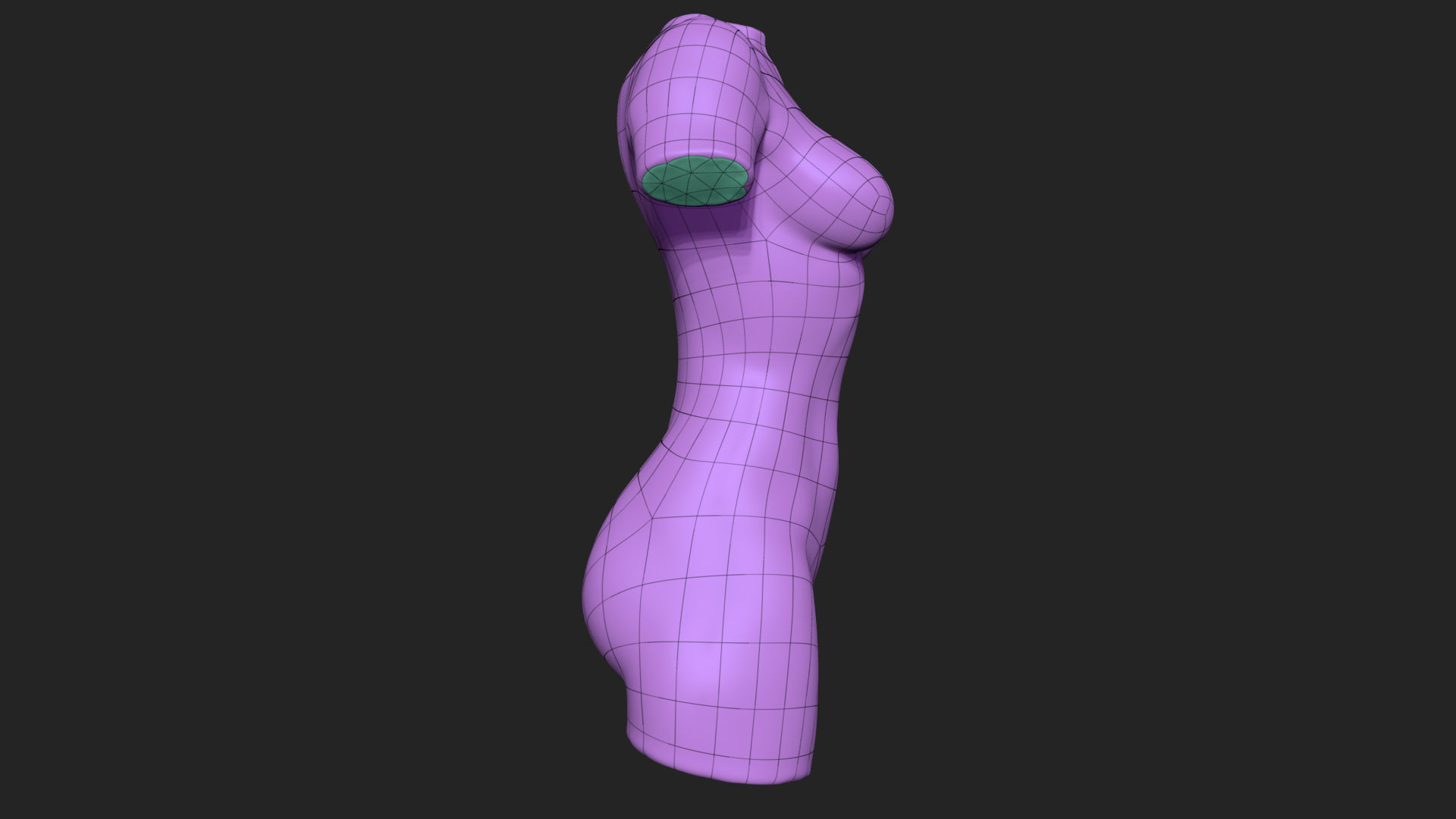 Female Torso Low-poly 3D model_12
