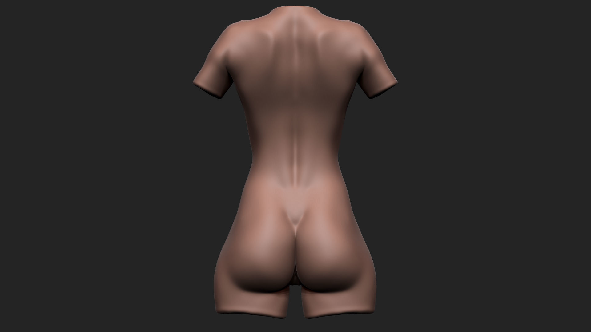 Female Torso Low-poly 3D model_14