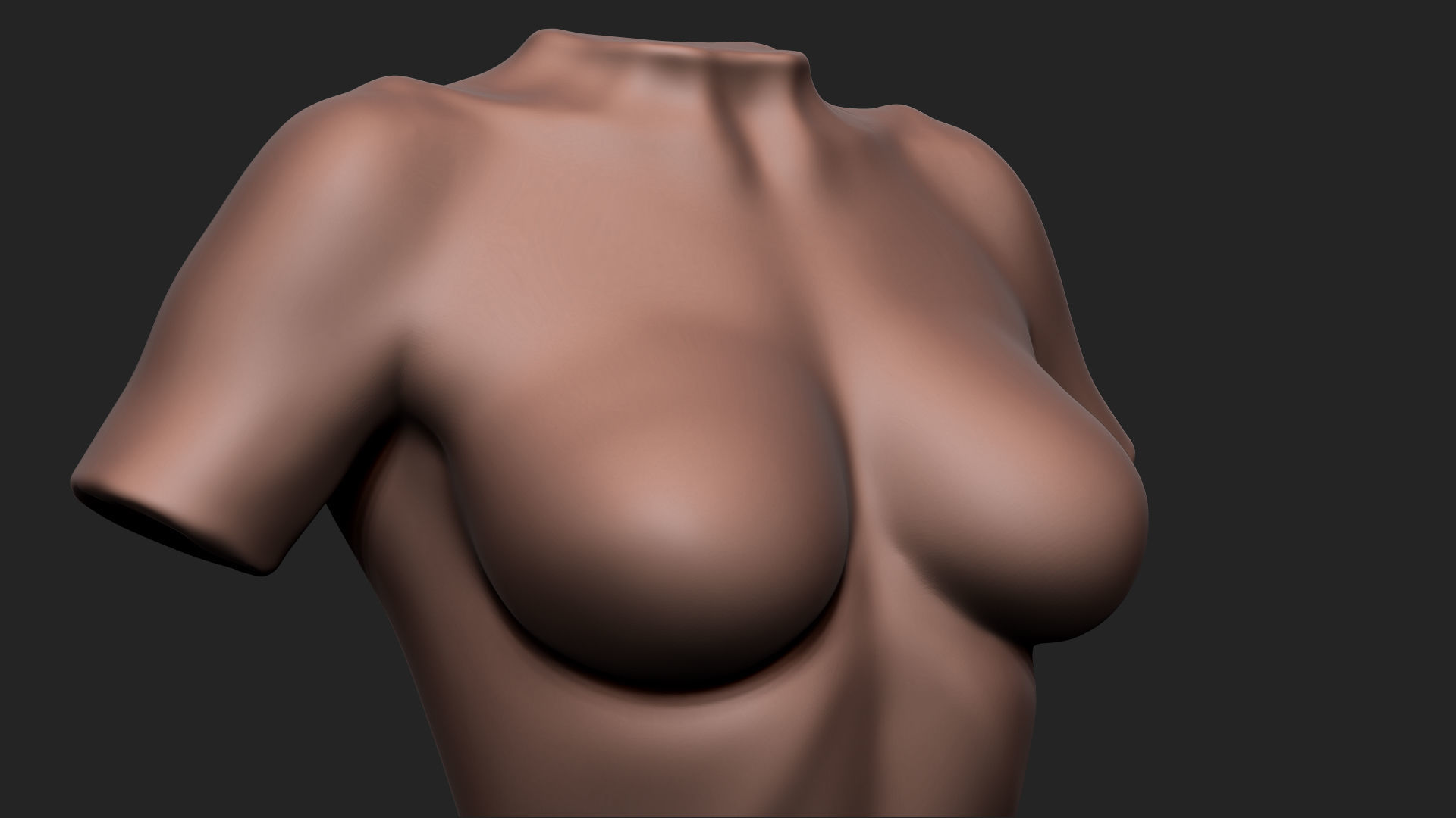 Female Torso Low-poly 3D model_20