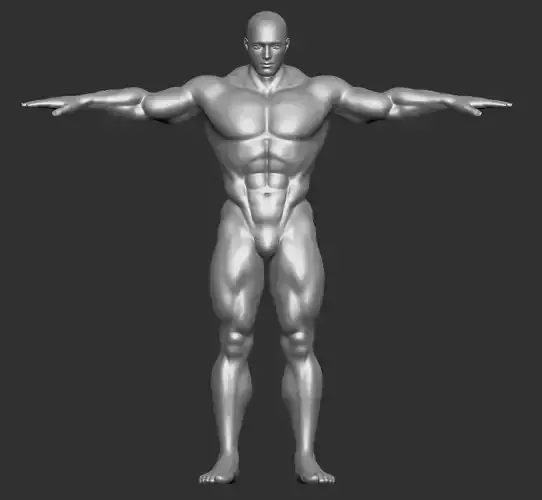 Male Template Muscle Buff Superhero Body 3D model