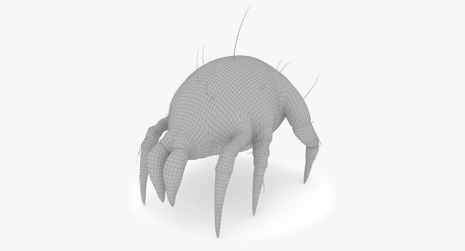 Dust Mite 3D model
