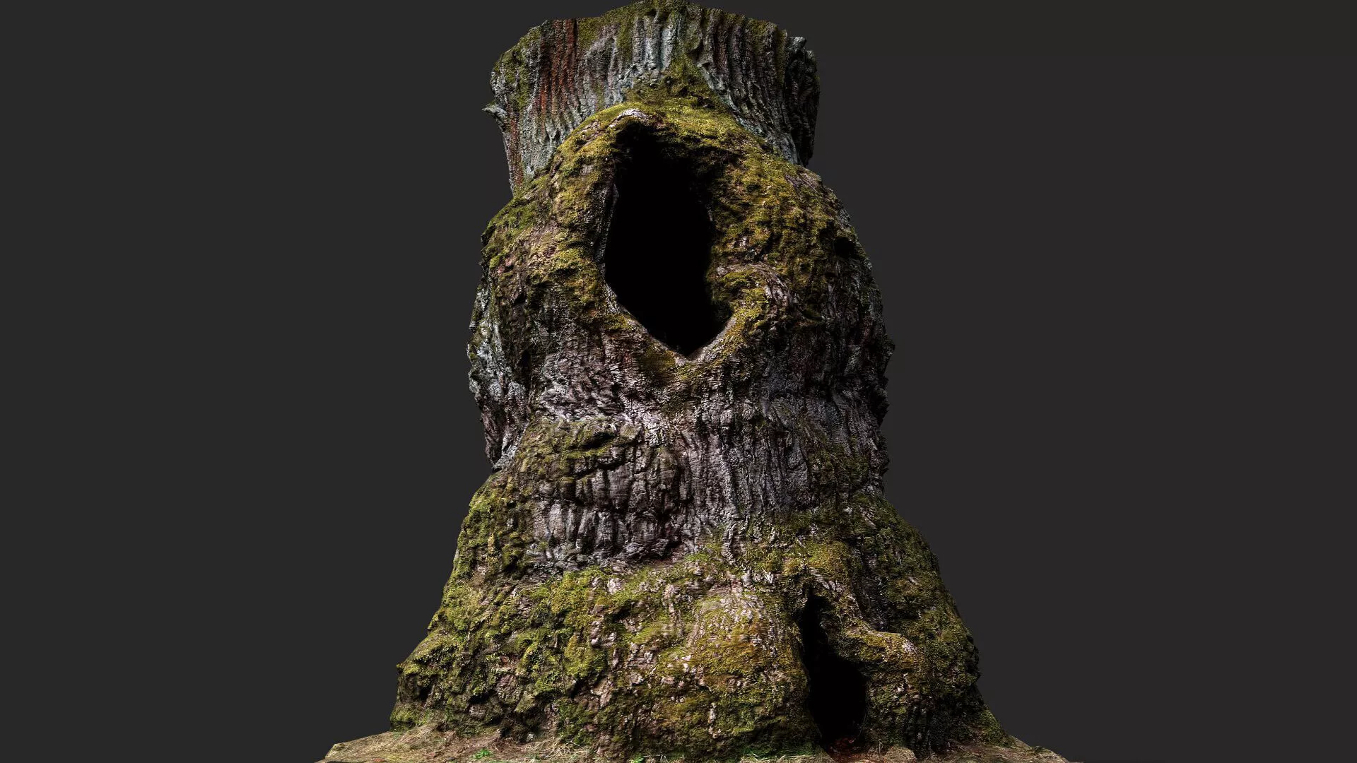 oak tree large trunk remains PBR photogrammetry Low-poly 3D model