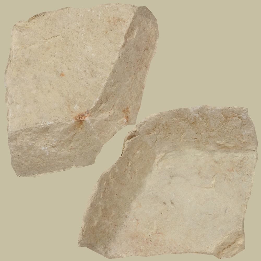 Janet Stone Low-poly 3D model_12