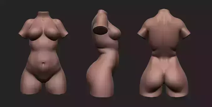 Plus Size Female Torso