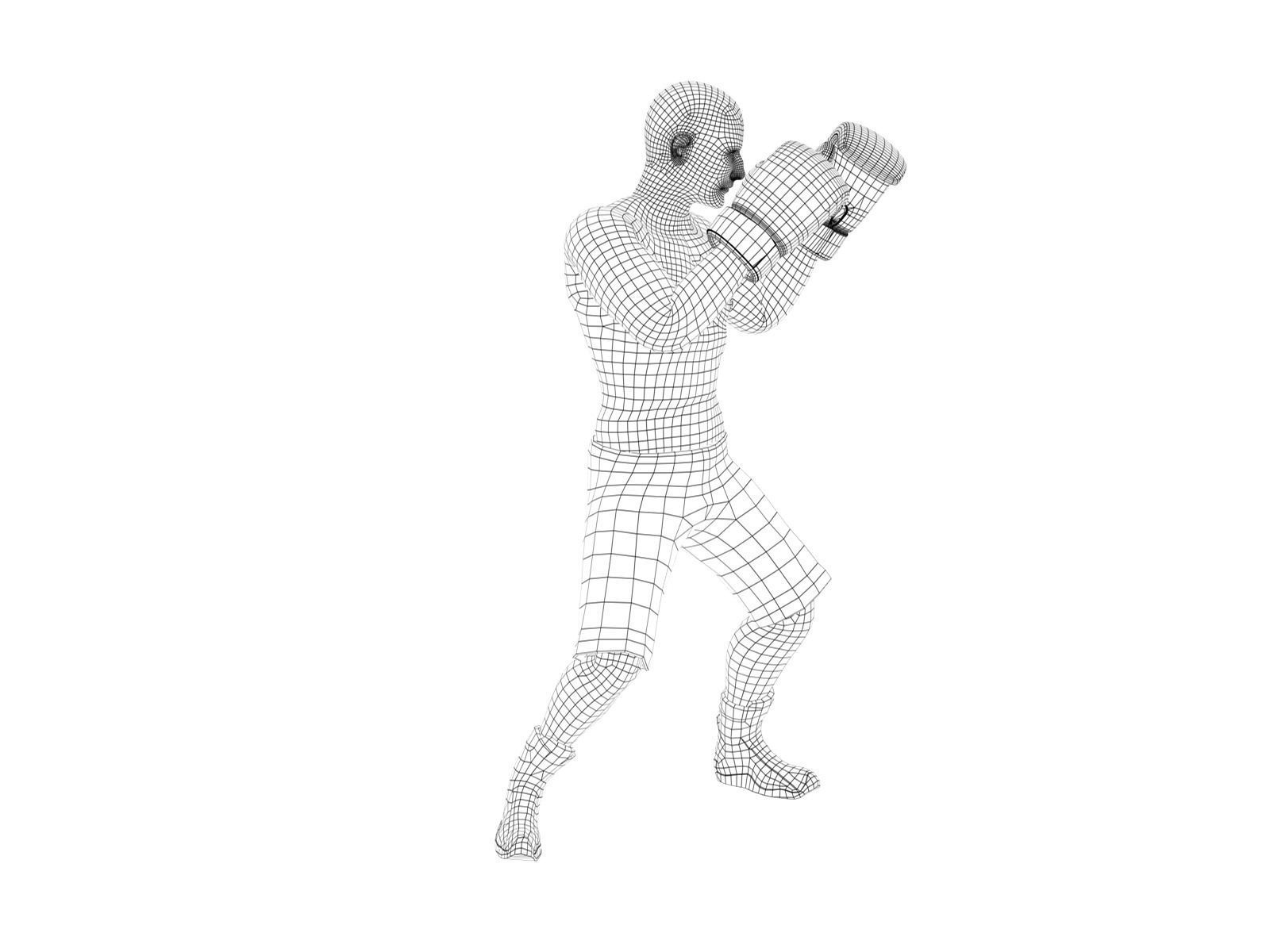 boxer rig Low-poly 3D model_14