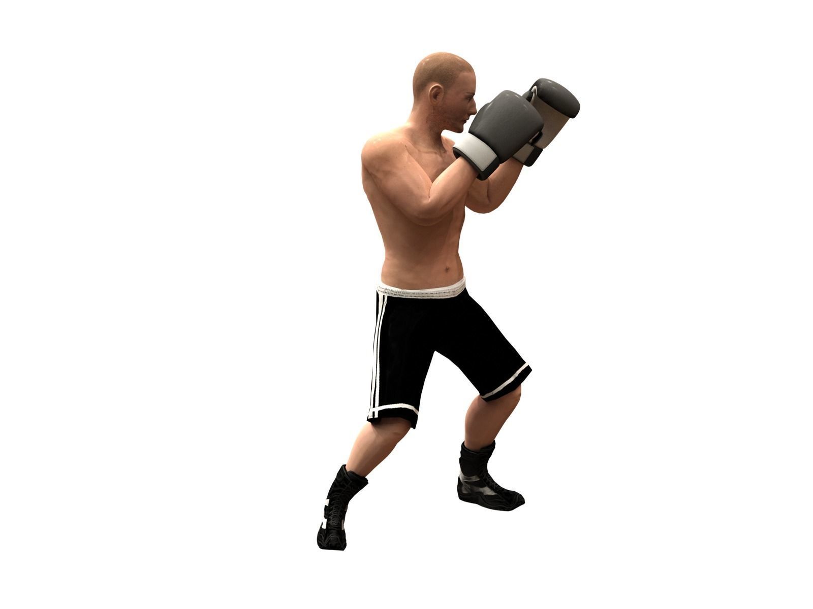 boxer rig Low-poly 3D model_7