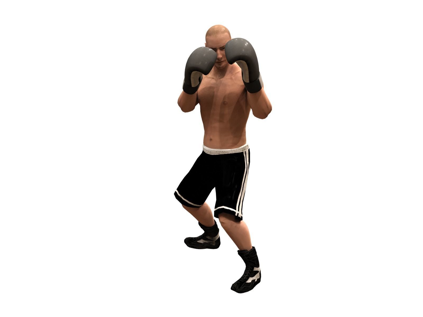 boxer rig Low-poly 3D model_6