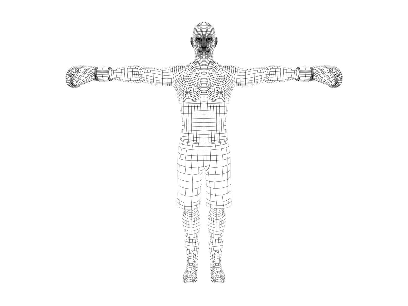 boxer rig Low-poly 3D model_11