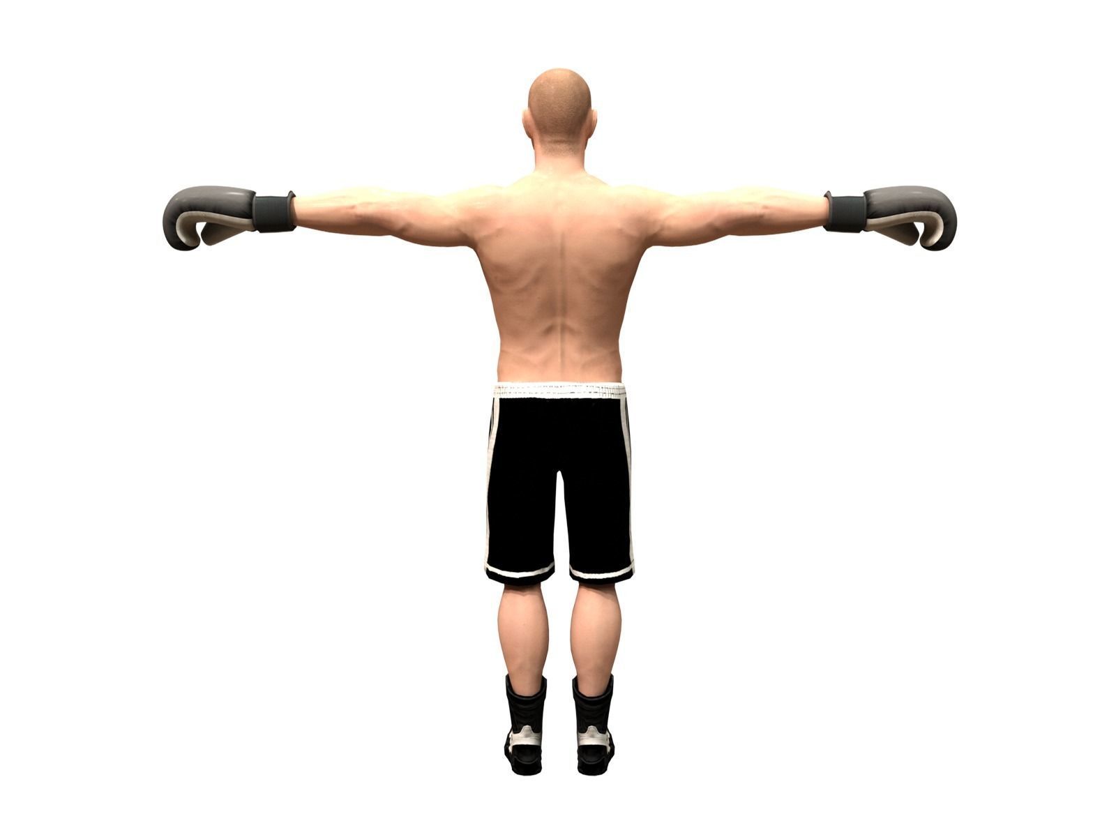 boxer rig Low-poly 3D model_5