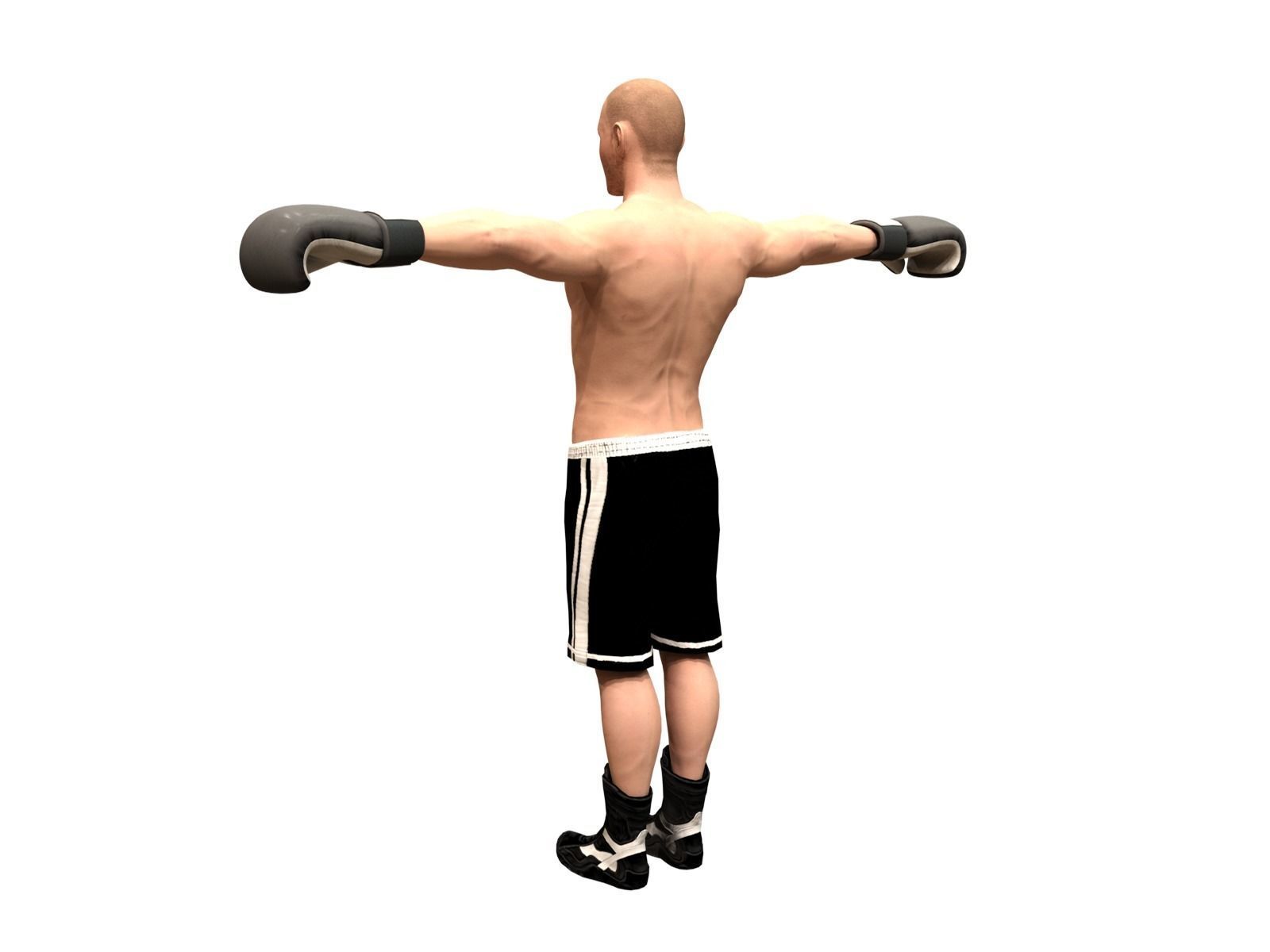 boxer rig Low-poly 3D model_4