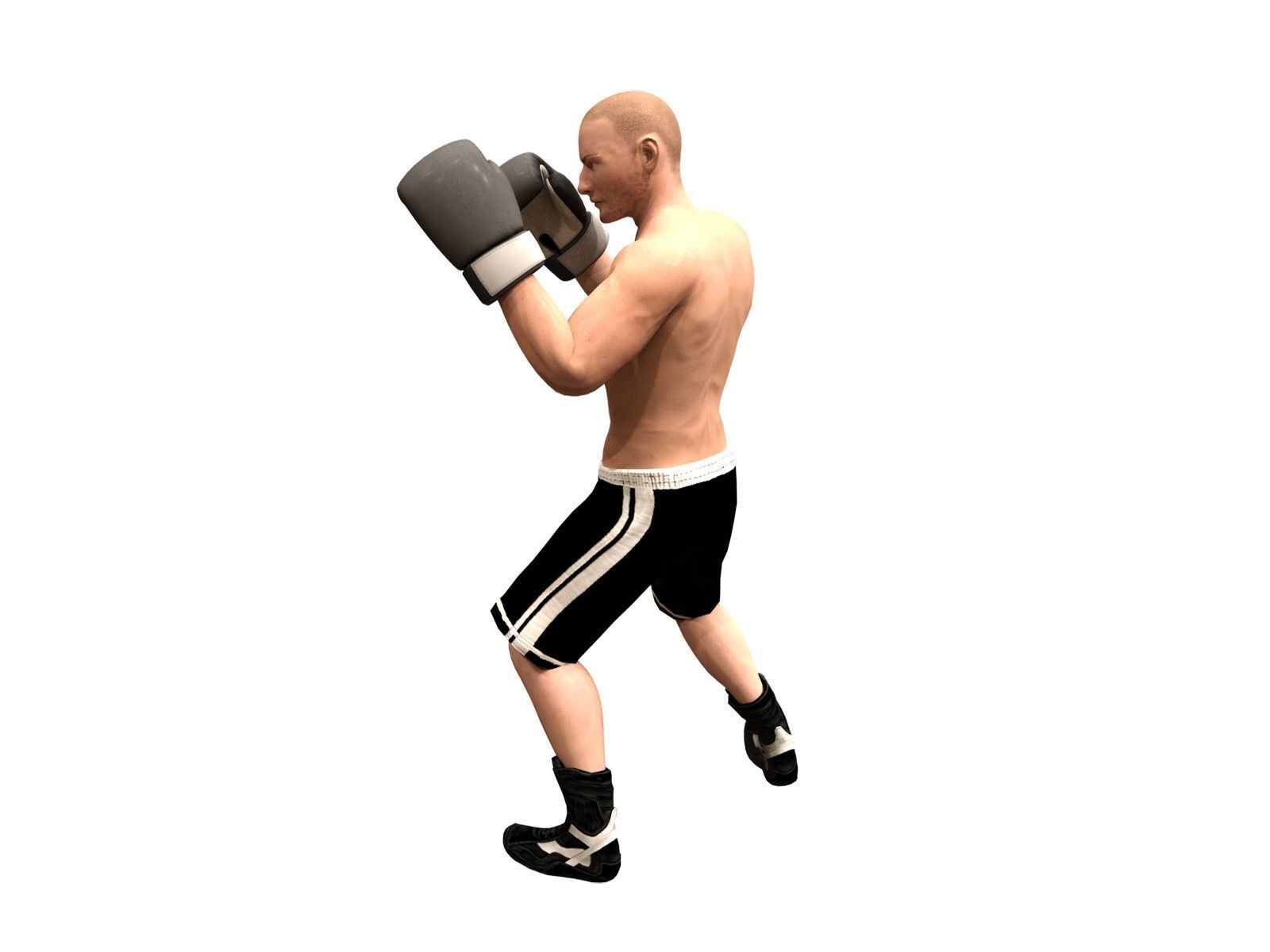 boxer rig Low-poly 3D model_8