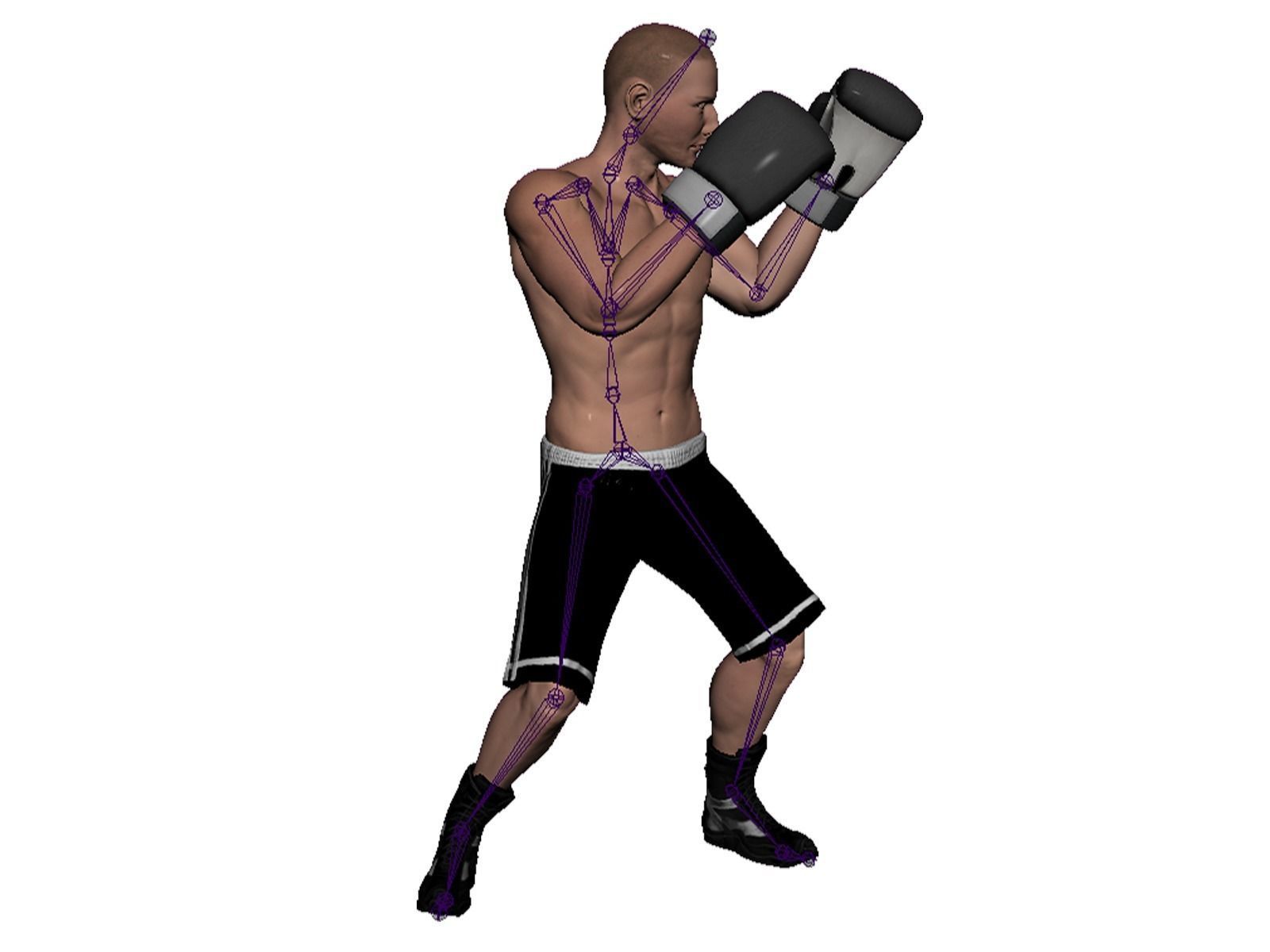 boxer rig Low-poly 3D model_10
