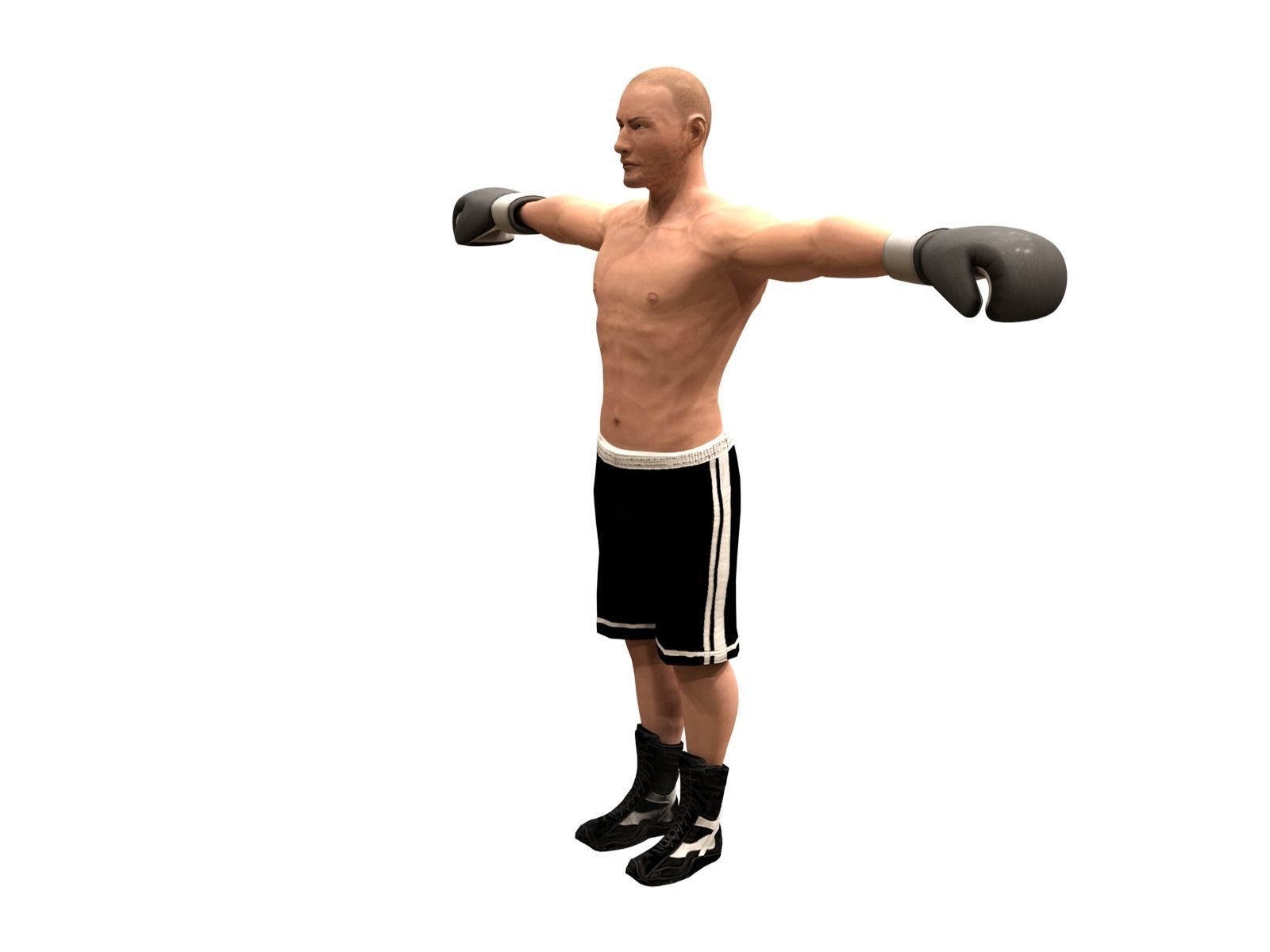 boxer rig Low-poly 3D model_3