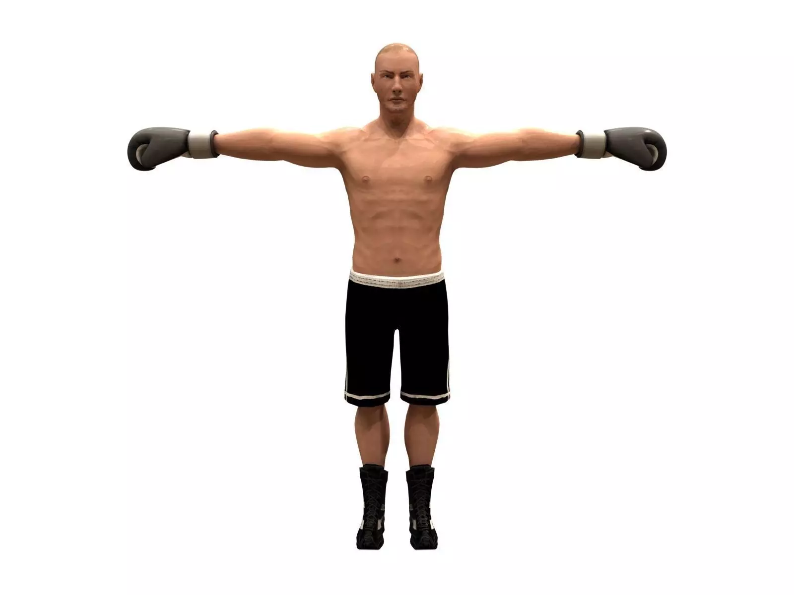 boxer rig Low-poly 3D model_0