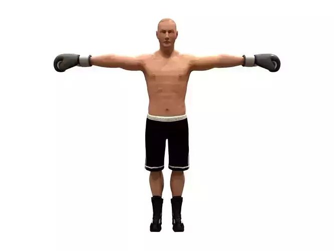 boxer rig Low-poly 3D model