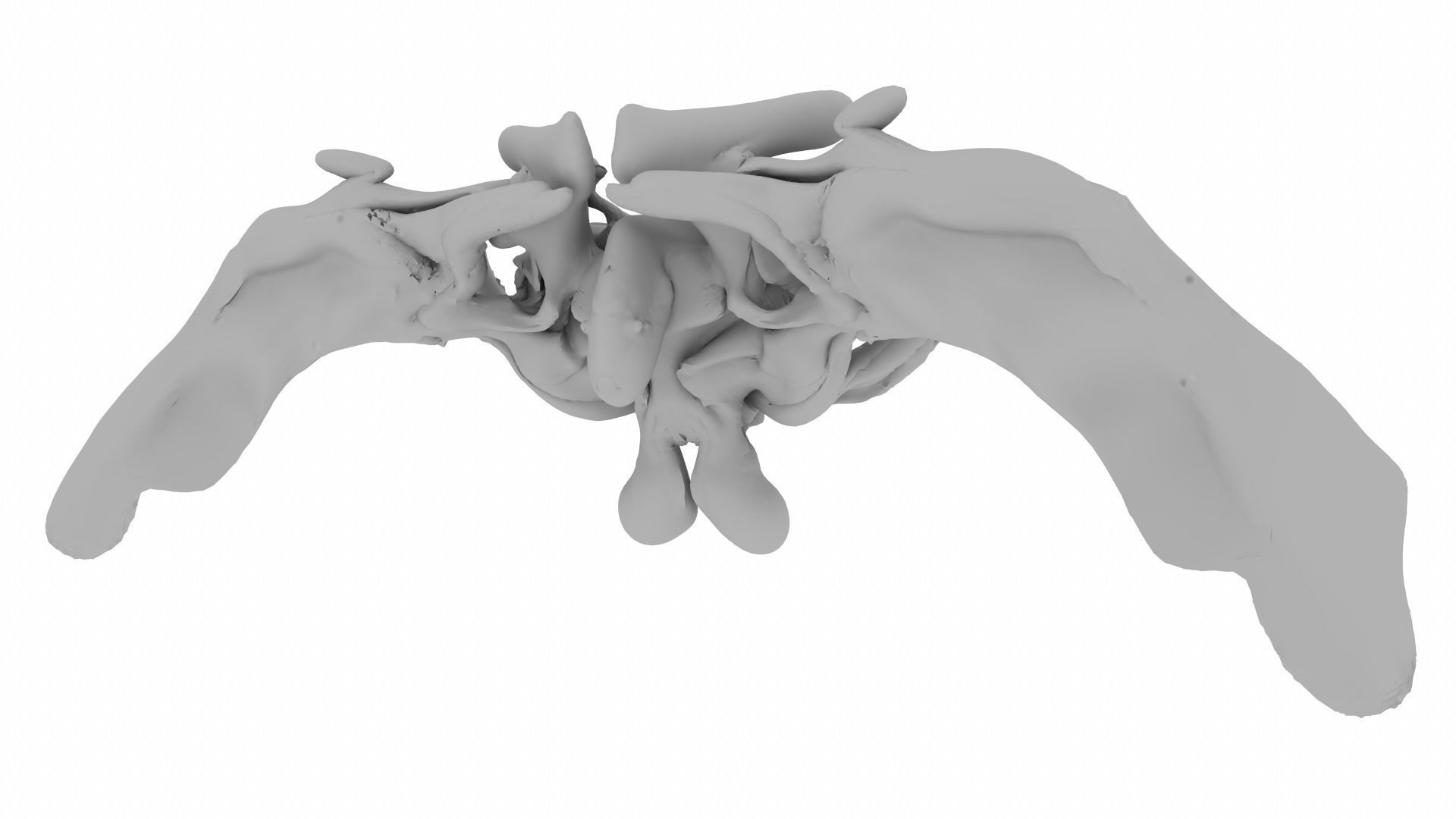 Pentery thoracic vertebra 3D model_9