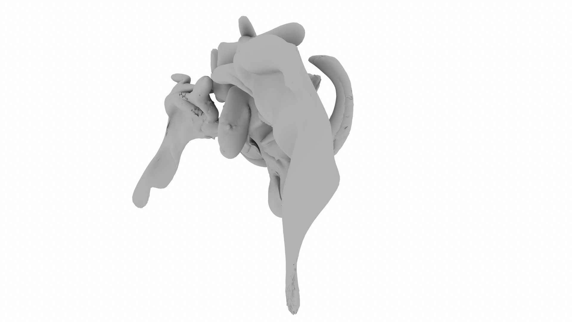 Pentery thoracic vertebra 3D model_10