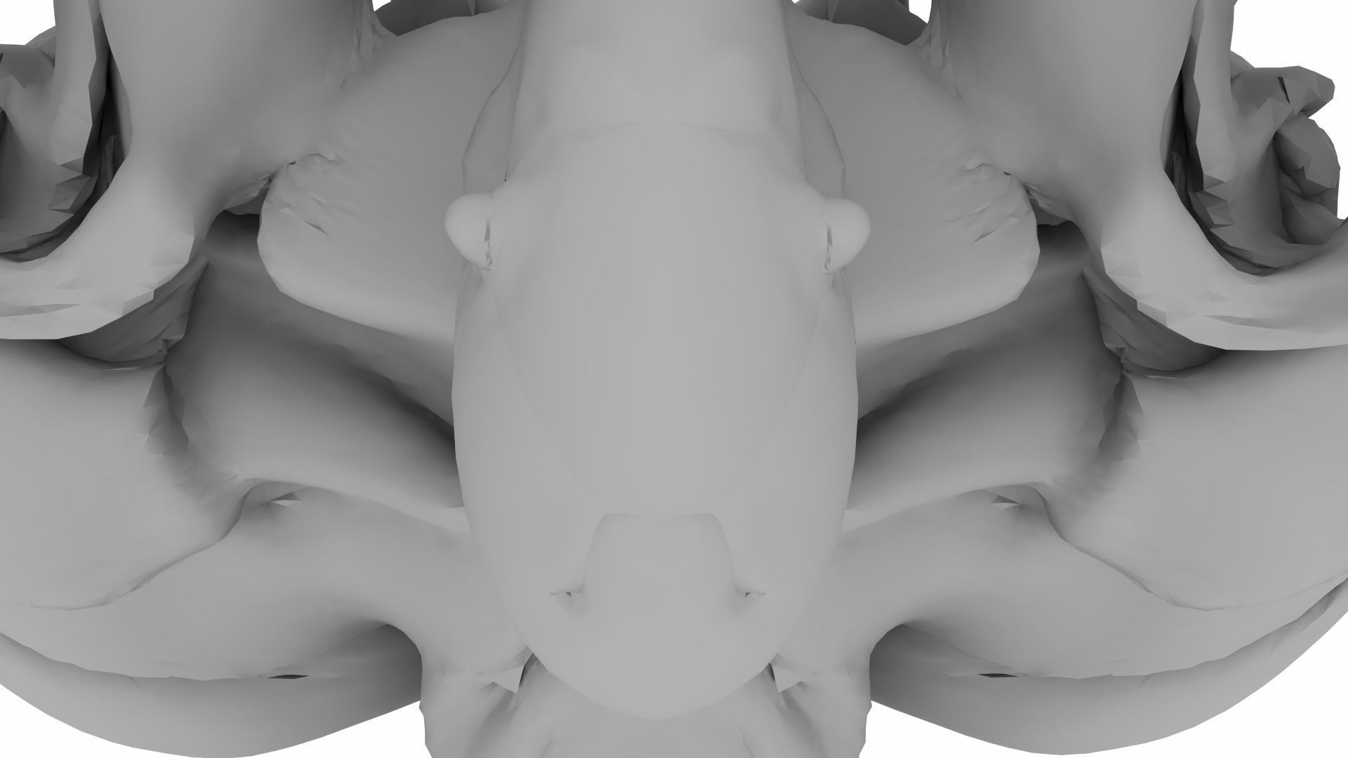 Pentery thoracic vertebra 3D model_13