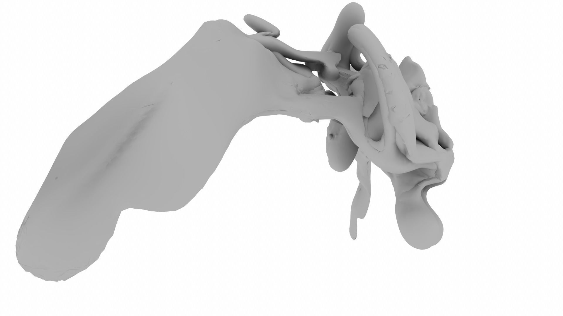 Pentery thoracic vertebra 3D model_11