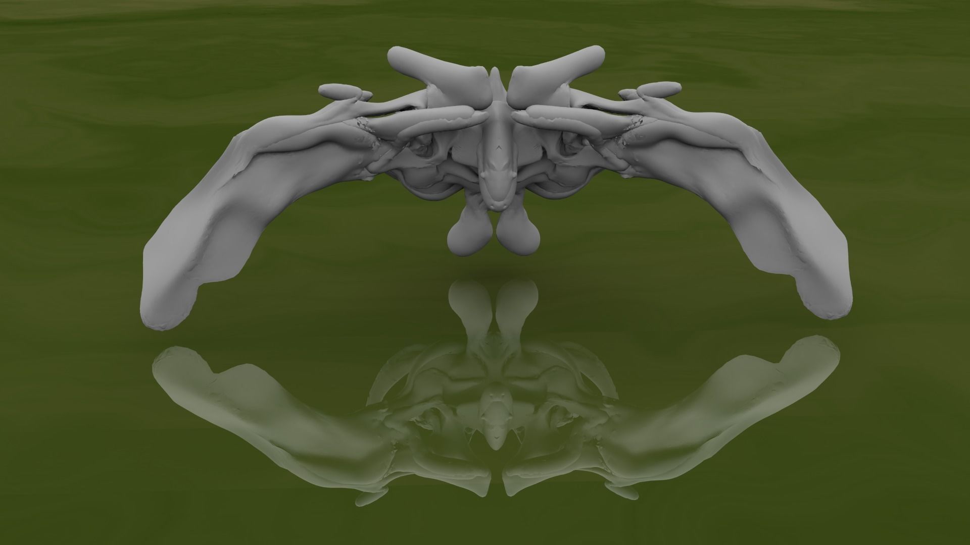 Pentery thoracic vertebra 3D model_0
