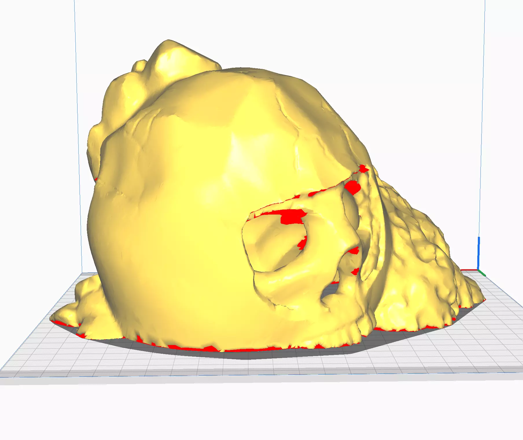 Skull Cave Hide for Reptiles and Arachnids 3D print model