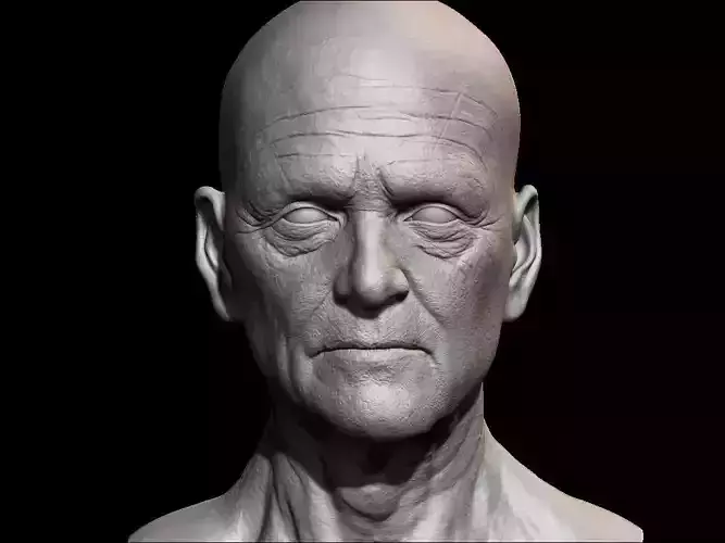 High detailed olde guy face with UV and low poly Low-poly 3D model