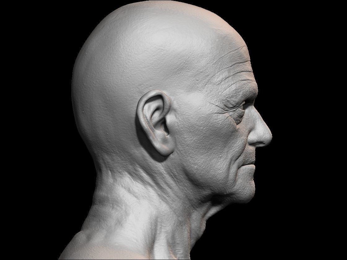 High detailed olde guy face with UV and low poly Low-poly 3D model_2