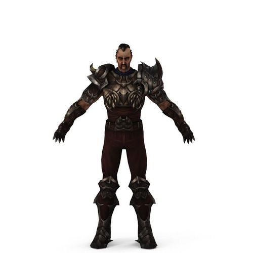 Warrior knight Rigged Animated Low-poly 3D model