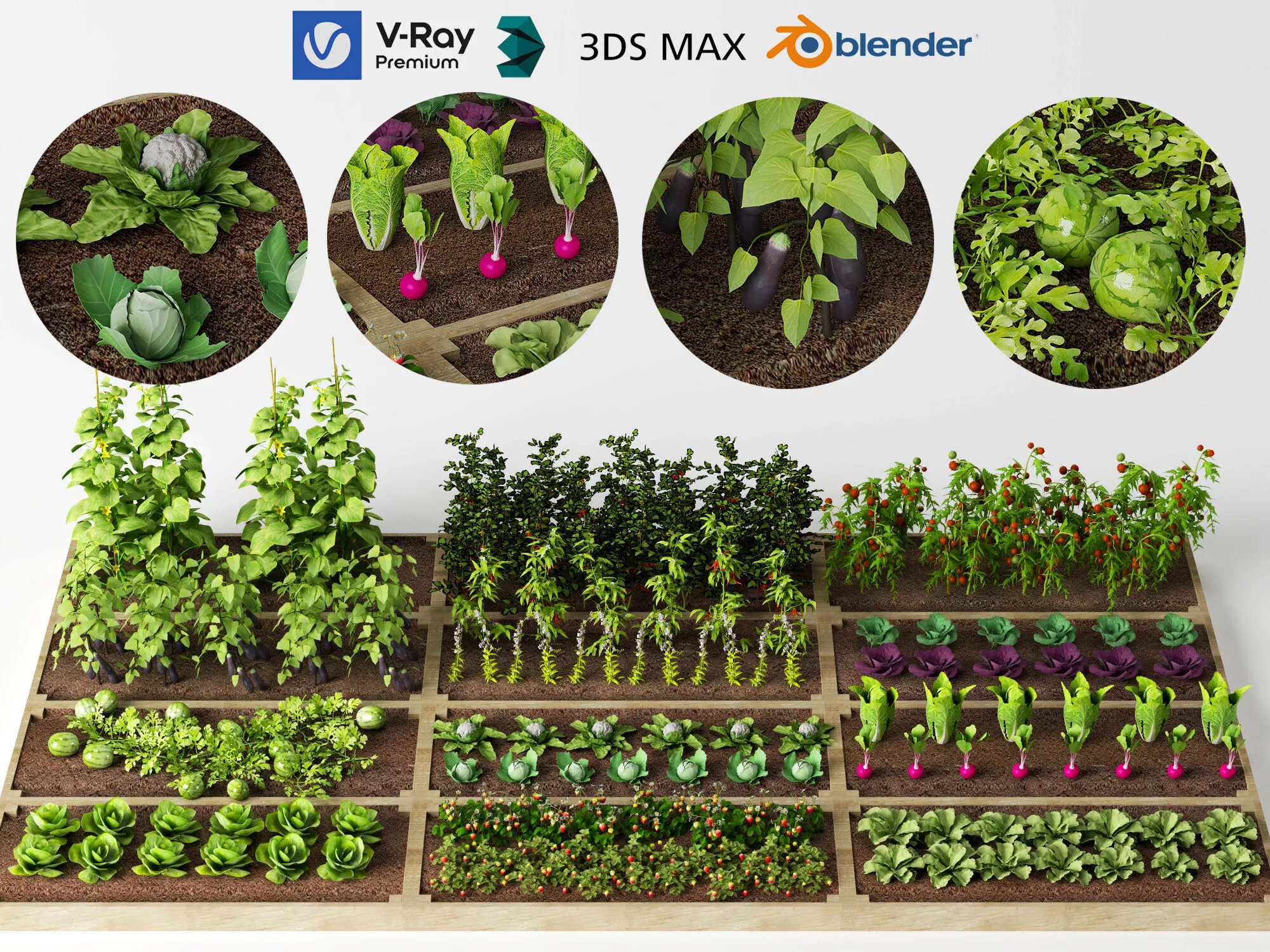Modular Vegetable Garden Plots Agricultural Crops 3D model