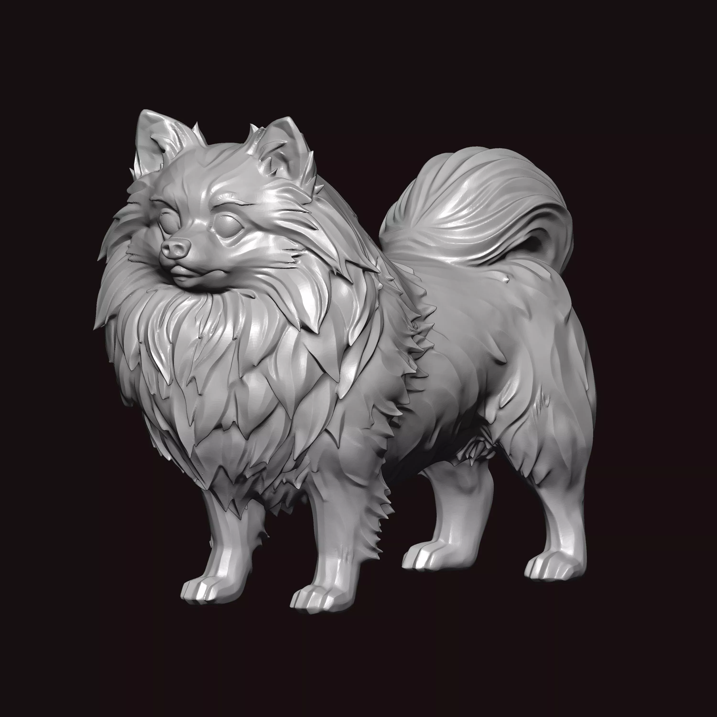 Pomeranian Dog Standing Pose 3D print model
