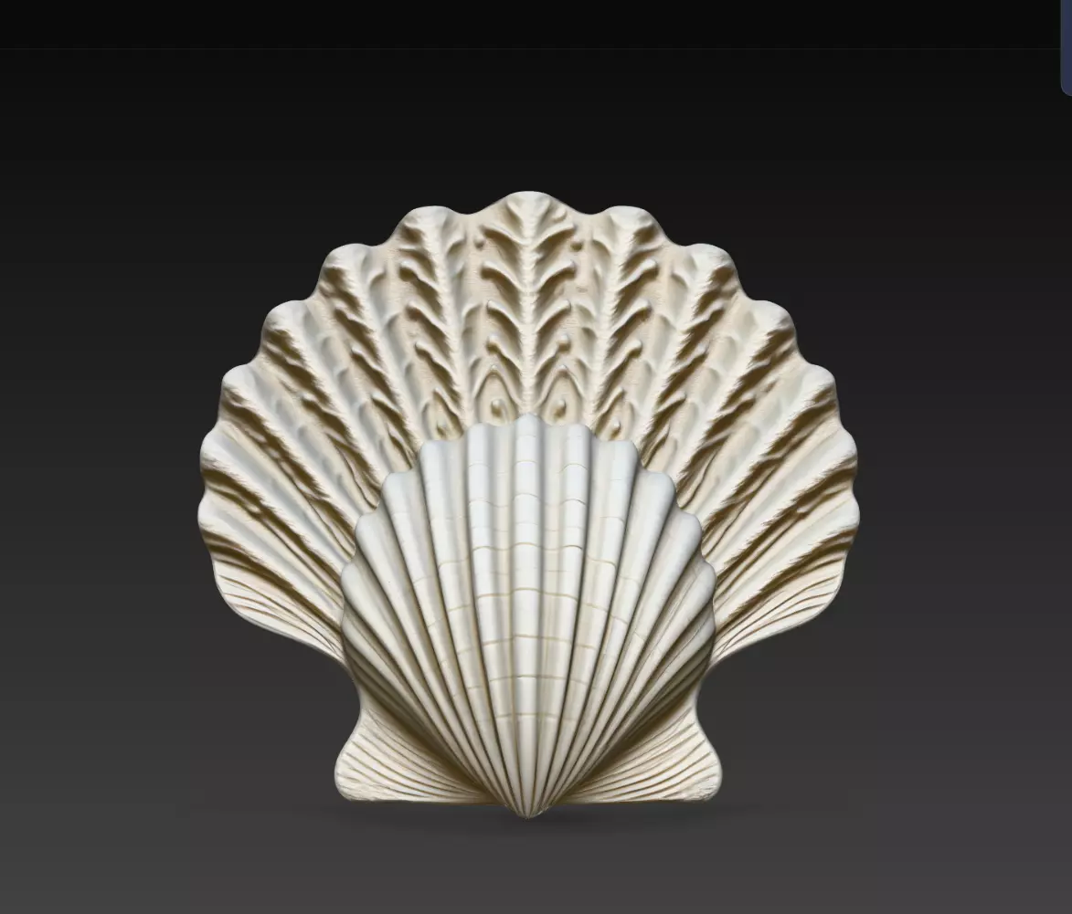 Ivory Scallop Shell Ocean Decor Model STL Print 3D print model