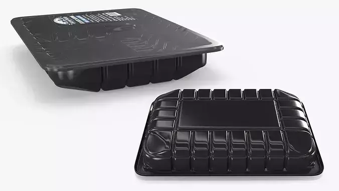 Vacuum Sealed Tray with Atlantic Herring Silver 3D model 4