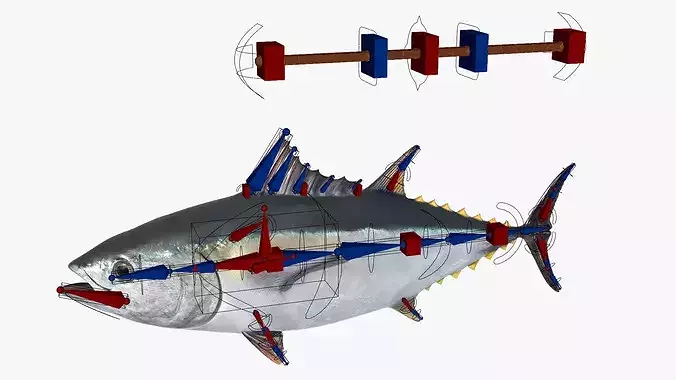 Ocean Yellowfin Tuna Rigged For Blender Low-poly 3D model 3
